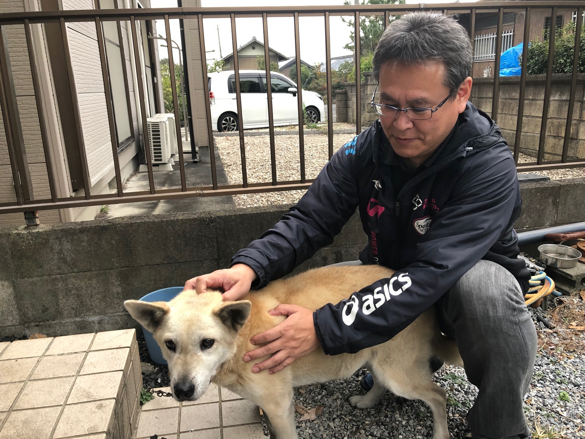 西田有志選手の愛犬銀の写真