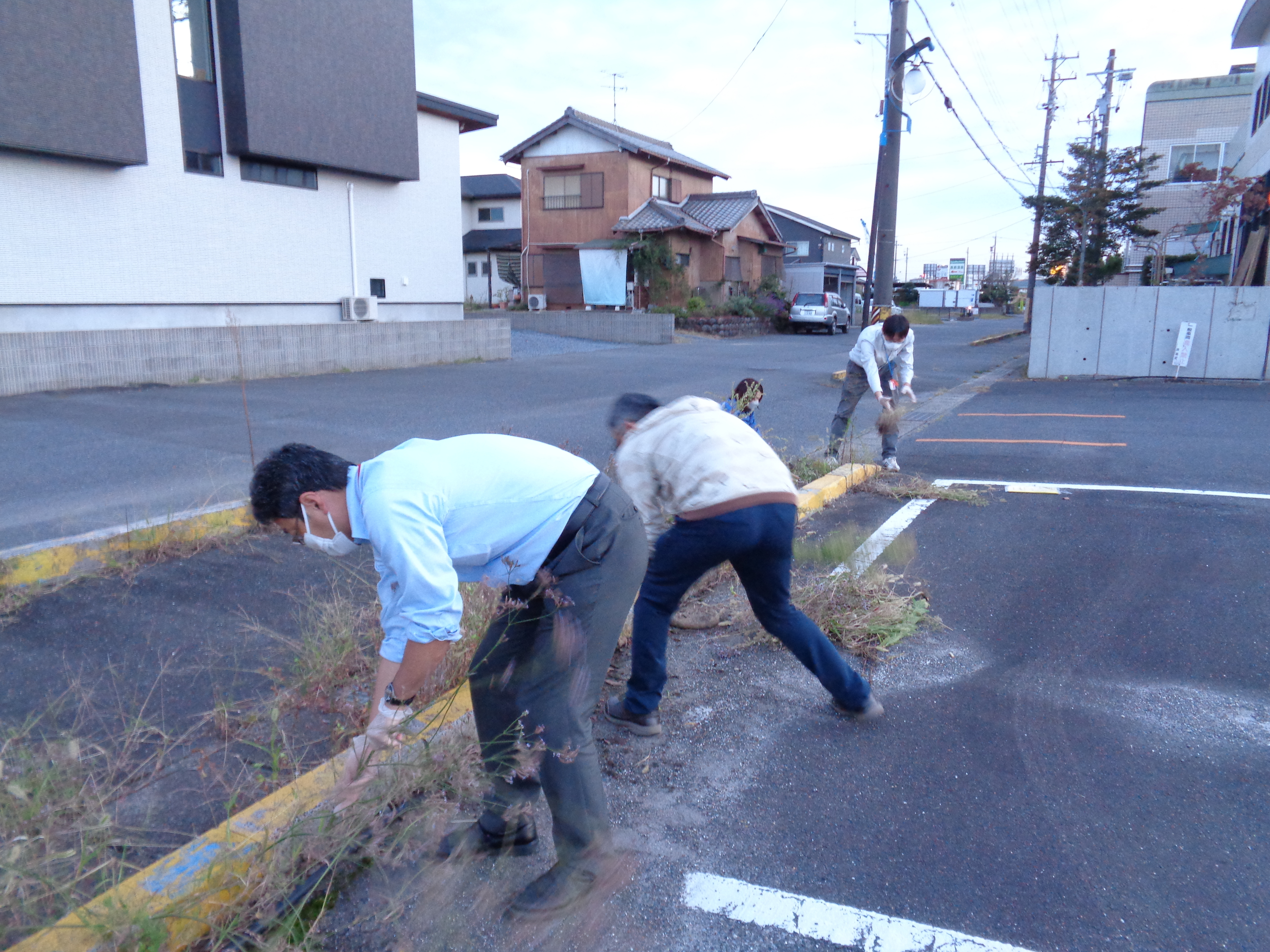 草取り作業